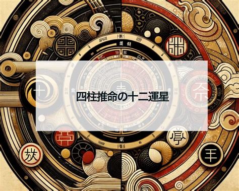 十 二 運|四柱推命の十二運とは？年柱・月柱・時柱とあわせて。